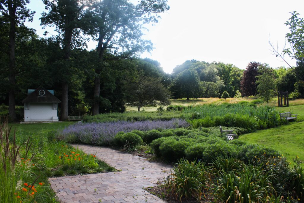 Arbor House back lawn area in summer