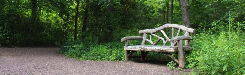 bench in fern valley, formatted as a newsletter banner