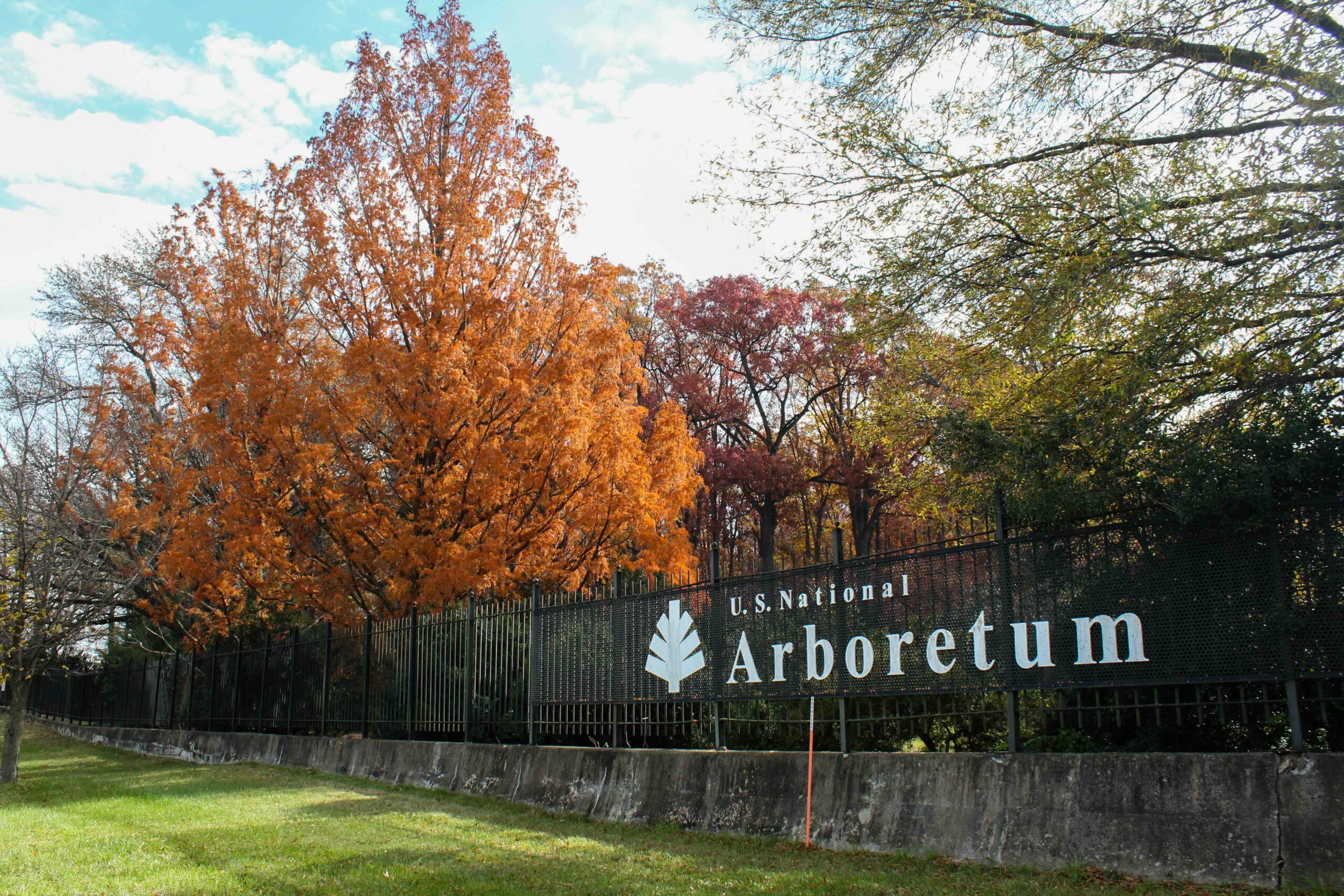 "U.S. National Arboretum" sign displayed on the perimeter fence, with fall foliage in the background