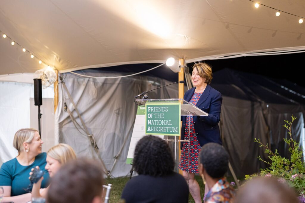 Senator Amy Klobuchar (D-MN) speaking at Dinner Under the Stars