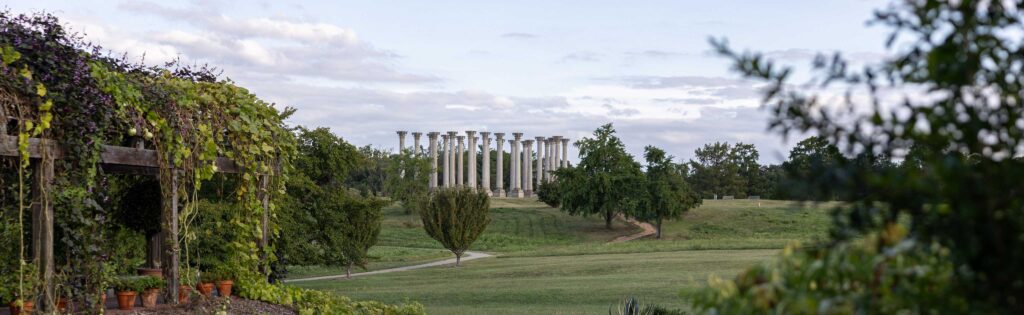 the capitol columns at dusk through, as seen from the national herb garden, photo by josh peterson