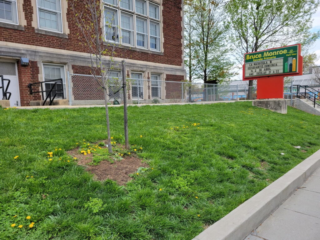 Bruce Monroe ES, before garden bed installation