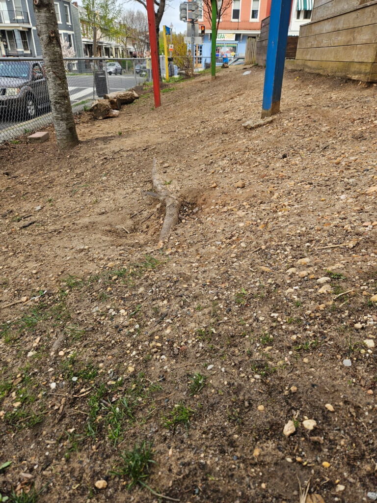Bruce-Monroe Elementary School garden area before renovation