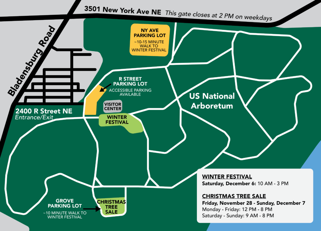 Winter Festival 2025 illustrated map