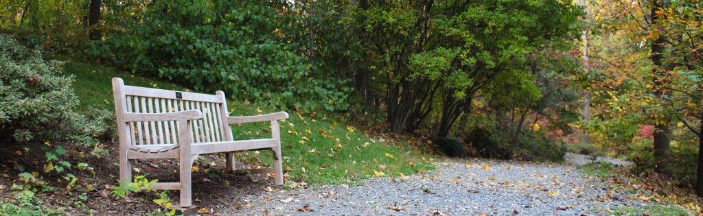 commemorative bench in the azalea collections in fall, formatted as a newsletter banner