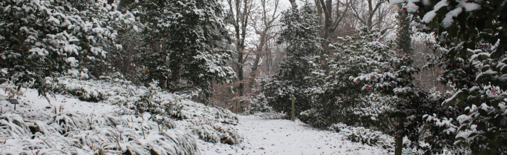 Snowy landscape at the Asian Collections