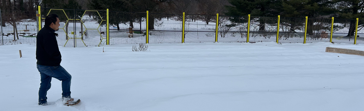 Person standing in a field of snow
