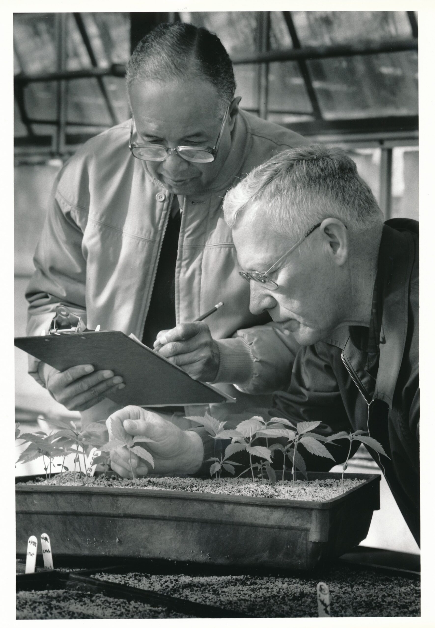 Donald Egolf (right) and Roland Jefferson (left) conducting research in a greenhouse. Photo credit National Arboretum
