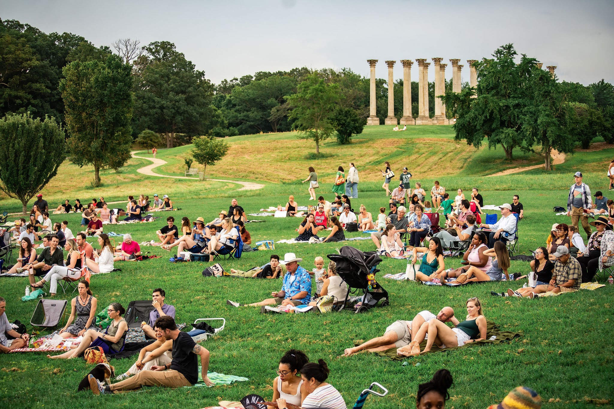 FONA - Friends of the National Arboretum