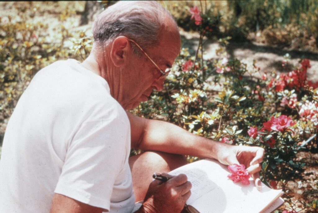 Benjamin Y Morrison with azaleas. Credit National Arboretum