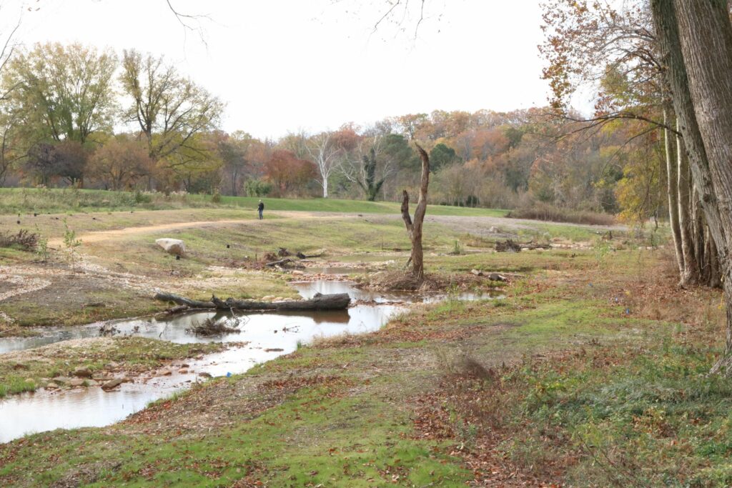 springhouse run in 2017 after construction and as plantings began