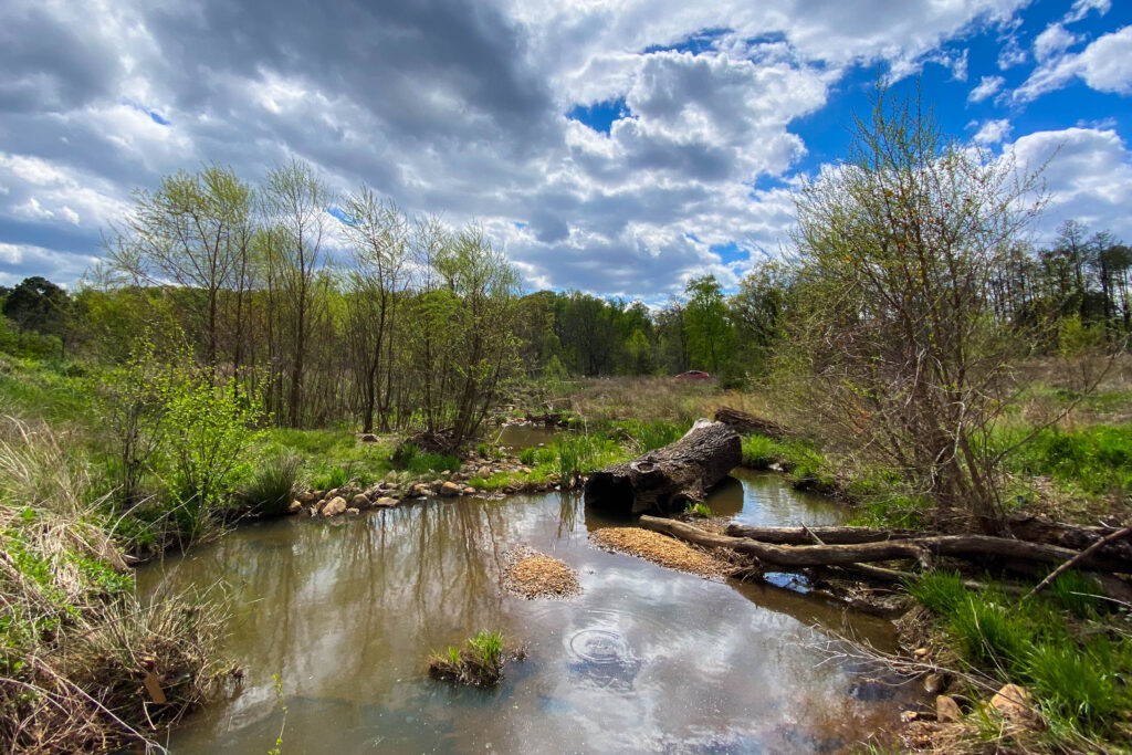 springhouse run in april 2021