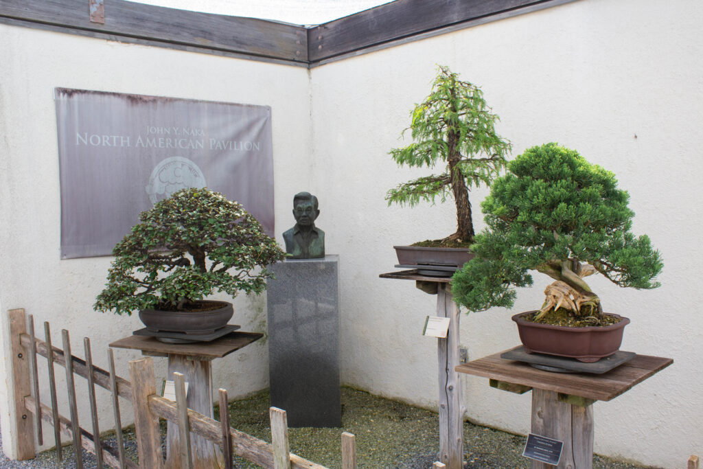 north american pavilion of the national bonsai and penjing museum