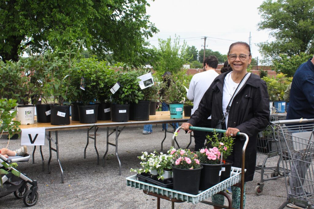 garden fair and plant sale attendee shopping for plants