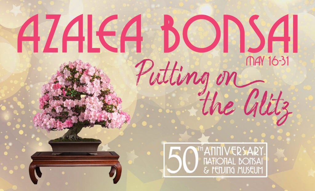 azalea bonsai putting on the glitz exhibit flyer