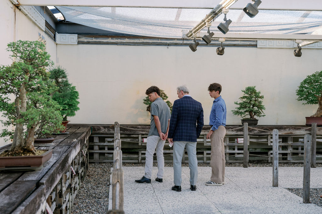 three spring soiree guests observe a bonsai tree in the national bonsai and penjing museum