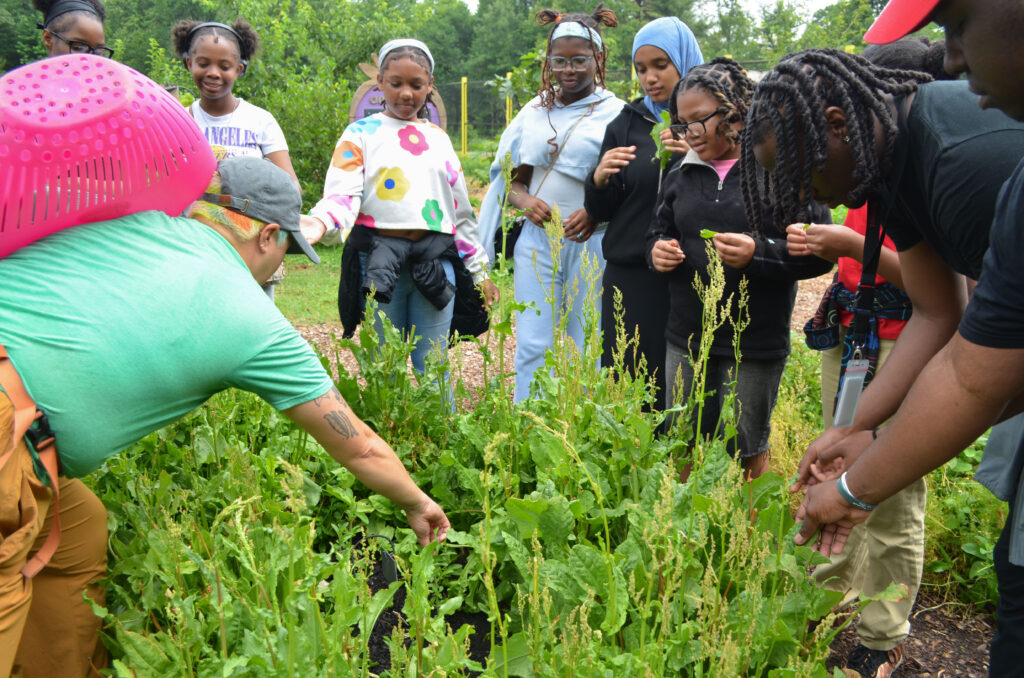 FONA staff member Emilia showing students on a field trip sorel growing in a garden patch