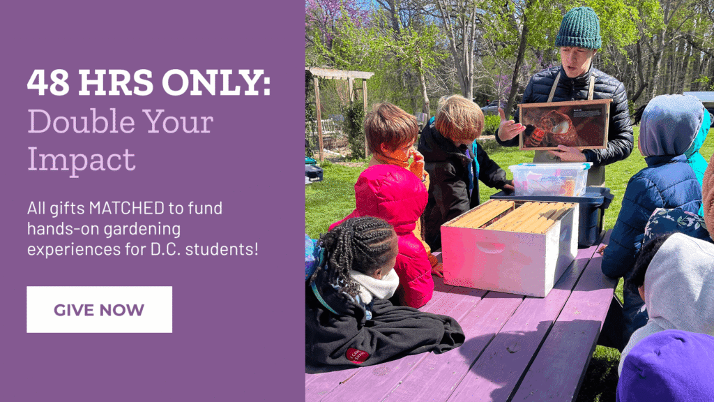 image reads "48 hours only: double your impact. All gifts matched to fund hands-on gardening experiences for D.C. students! Give now" image includes a photo of students learning about pollinator bee s