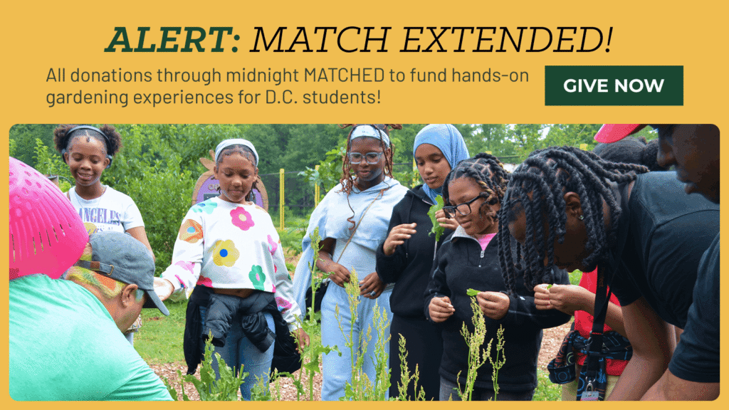 image reads: "Alert: Match Extended! All donations through midnight matched to fund hands-on gardening experiences for D.C. students! Give now" Image includes a photo of students on a field trip looking at the facilitator with sorrel in their hands to try